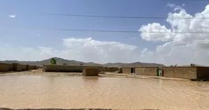 Ülkede selin bilançosu büyüyor