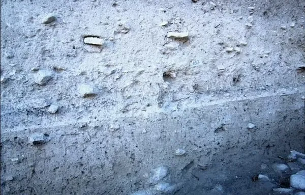 Türk bilim insanlarının tarihi buluşu dünya basınında! - 2