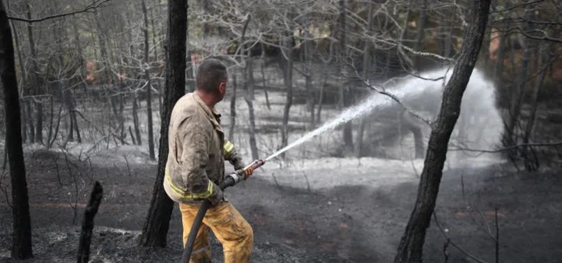 Bursa'da yanan ormanlar için seferberlik! Küle dönen 25 hektar alan eski günlerine dönecek