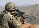PKKya ağır darbe! Gri kategorideki Cilo...