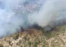 Aydın Germencik’te orman yangını