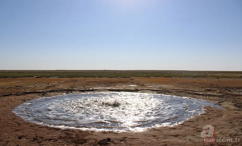 En son 2016'da görülmüştü yeniden ortaya çıktı! Tedirgin eden görüntüler: Uzmanından açıklama 9