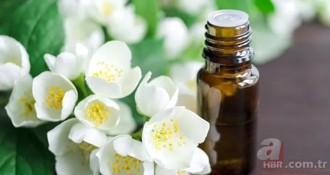 Hürrem Sultan'ın güzellik sırrı meğer buymuş! İbn-i Sina'nın cam cilt reçetesi... 5