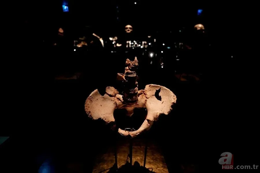 Dünya tarihini değiştirecek keşif! 1,4 milyon yaşında 11