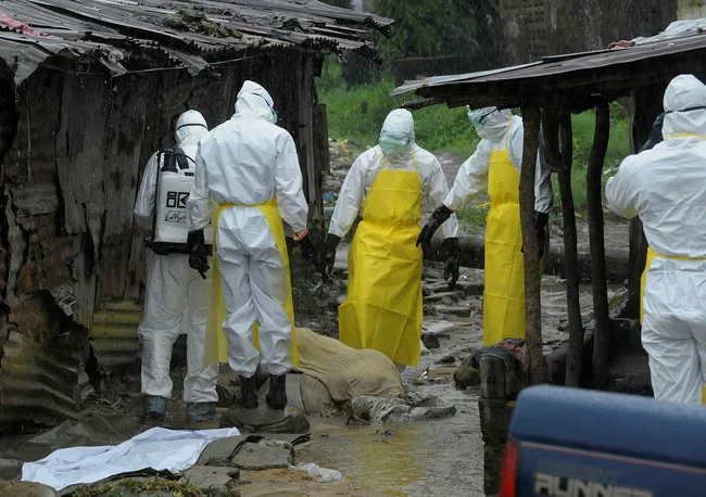 Kongo Demokratik Cumhuriyeti'nde Ebola salgını: Ölü sayısı 2 bine dayandı - 1