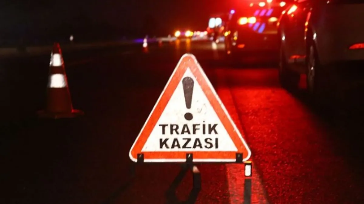 Denizli'de korkutan kaza! Otomobil refüjdeki ağaca çarptı