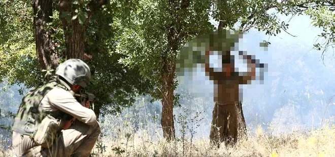 PKK terör örgütü dağılıyor! Bakan Soylu yurt içindeki terörist sayısını açıkladı