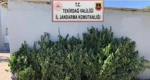 Zehir tacirlerine geçit yok!
