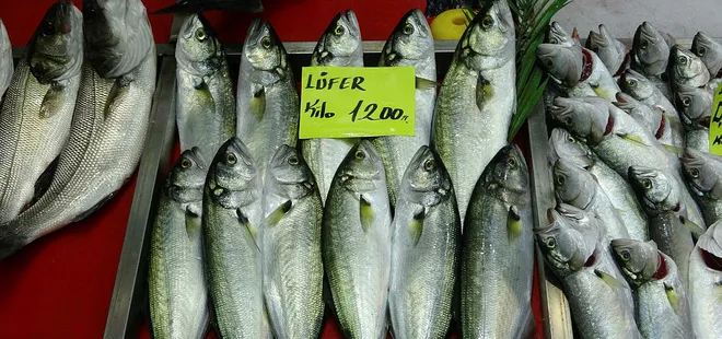 Denizlerin prensi 'lüfer' 1200 liradan tezgahtaki yerini aldı