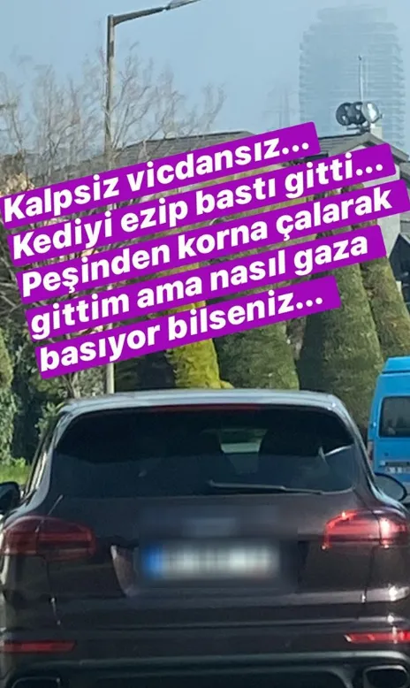 ceyda-duvenci-caniyi-sosyal-medyadan-ifsa-etti-1584167461249.jpg Ceyda Düvenci caniyi sosyal medyadan ifşa etti - 1