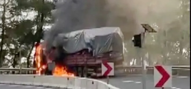 Tomruk yüklü TIR alev alev yandı