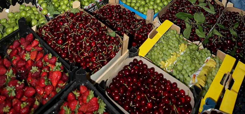 Meyve-Sebze ihracatı 2.3 milyarı aştı! Hava yolu ile ihracat yüzde 71 arttı