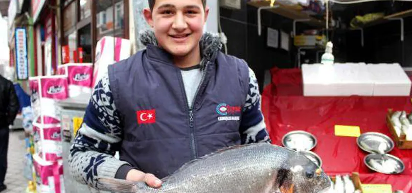 Karadeniz'e kaçan çupra şaşırttı