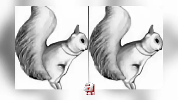 optik-illuzyon-gizli-ati-5-saniyede-bulabilir-misin-1697443192595.jpg Optik illüzyon: Gizli atı 5 saniye içinde bulabilir misin? - 1