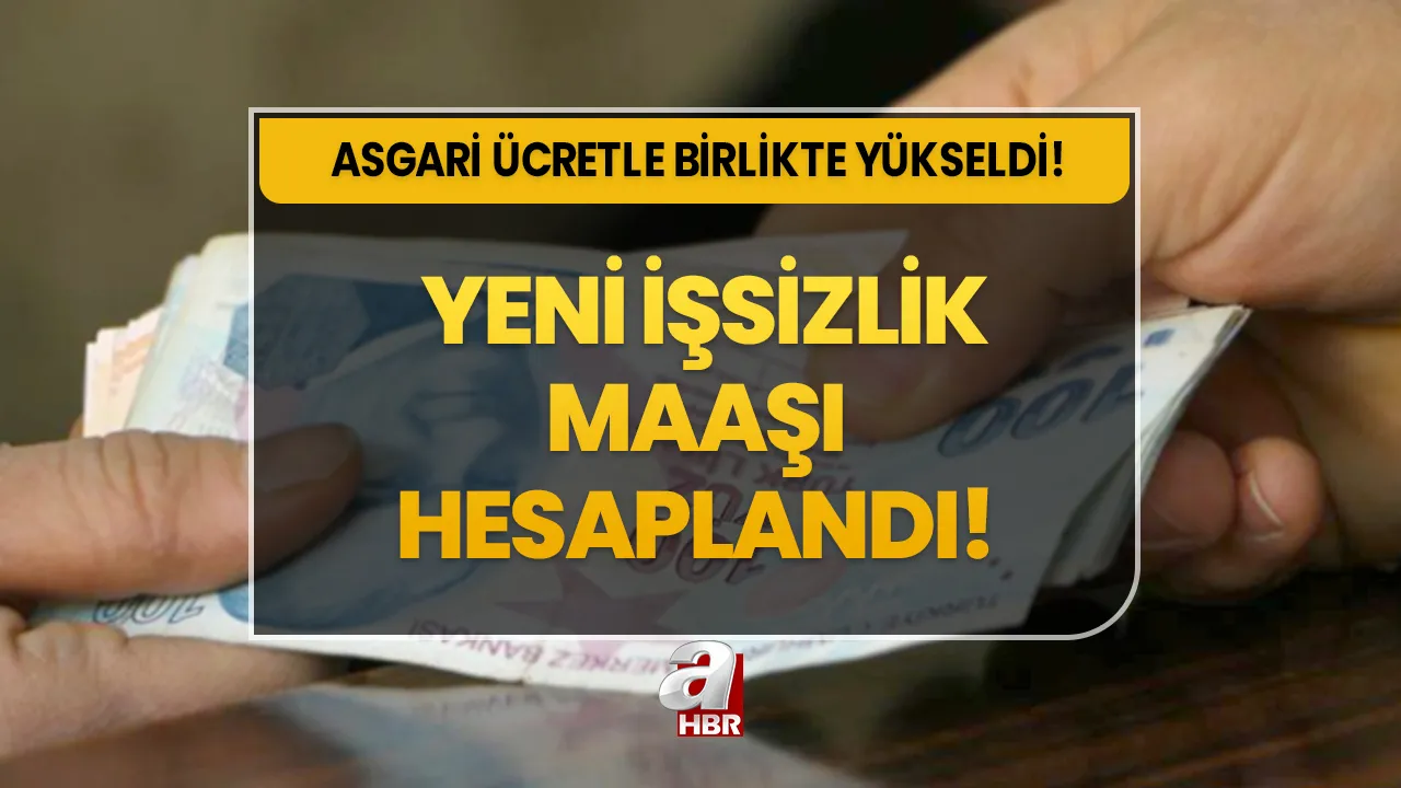 İşsizlik maaşı ne kadar, kaç TL oldu 2024? İşsizlik maaşı nasıl alınır? İŞKUR / e-Devlet başvuru ekranı ve şartları...