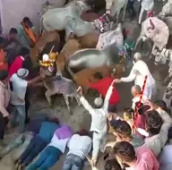 Sıra dışı gelenek! Şans getirsin diye...