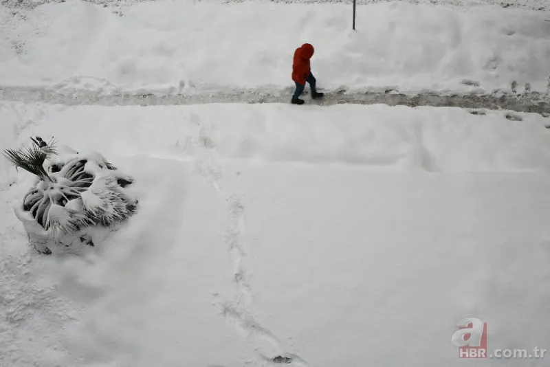 Türkiye kar altında! Onlarca şehirden enfes kar manzaraları 19