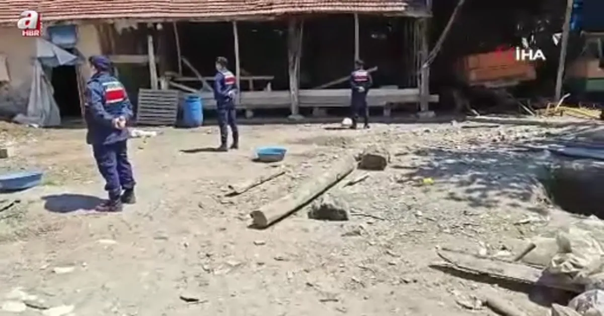Kaçak kazı Roma mozaiğini ortaya çıkarttı