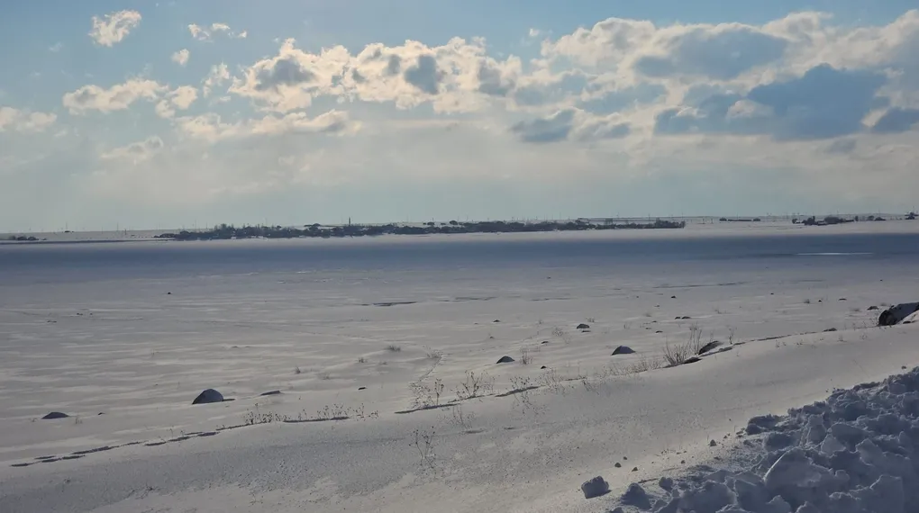 ‘Kuş cenneti’ Arin Gölü tamamen dondu