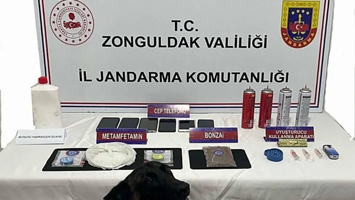Zonguldak'ta narkotik operasyonu: 14 gözaltı