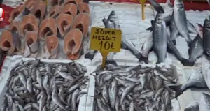 Tezgahlarda balık bereketi