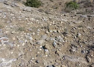 Yozgat’ta hayvanlarını otlatırken buldu! Kayalıkların arasından çıktı