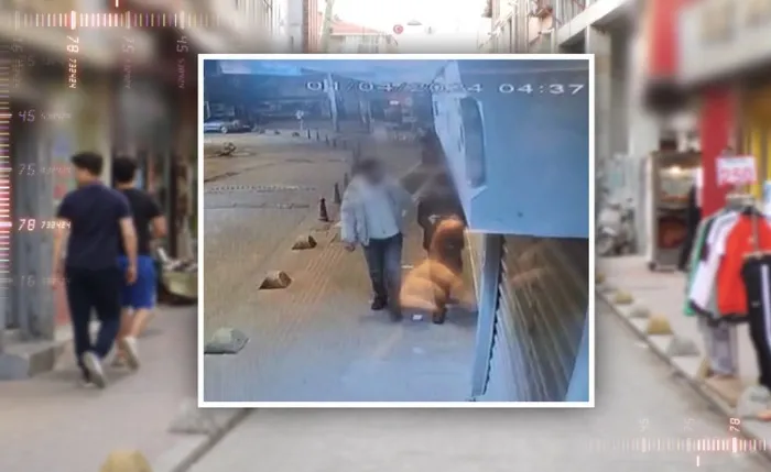 ATV Müge Anlı son bölüm izle! 5 Nisan Müge Anlı ile Tatlı Sert programı yeni bölüm, kesintisiz, tek parça izle!