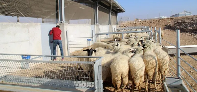 31 bin genç çiftçiye hibe desteği