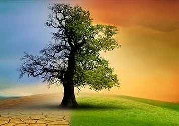 14 soruda İklim Kanunu! Vatandaştan karbon vergisi mi alınacak? Bakanlık merak edilenleri açıkladı