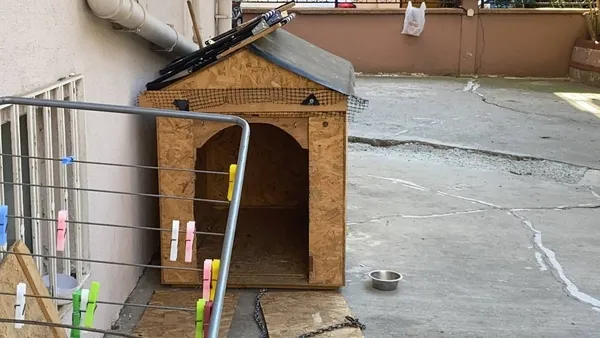 maltepede-doktor-kopegini-dovdu-o-anlar-kamerada-1633255445656.jpg Maltepe’de doktor köpeğini dövdü! O anlar kamerada - 3