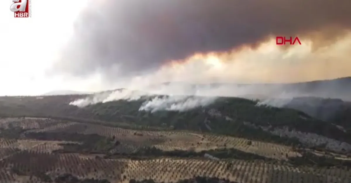 Çanakkale’deki orman yangınında zarar gören alanlar drone ile görüntülendi