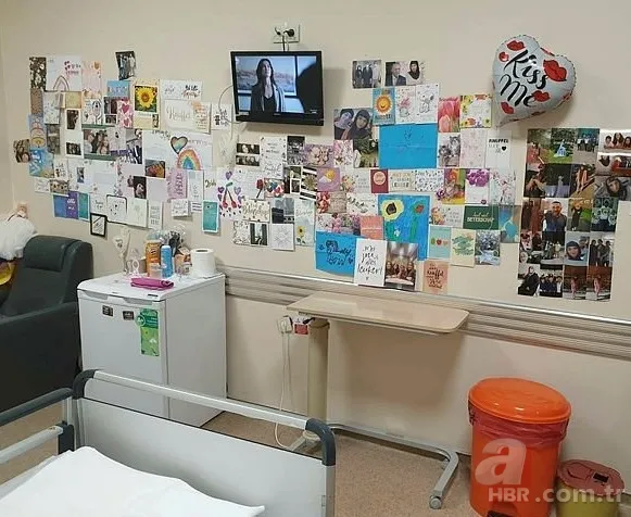 Hollanda ölüme terk ediyordu Türkiye yaşattı! Dilara Şahin'den sevindiren haber 4