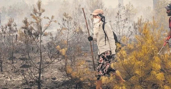 1628395879880.jpeg Ateş hattının Nene Hatun’ları! Yangının önüne set oldular - 1