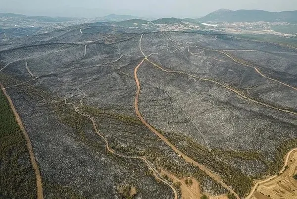 pkknin-kirli-plani-ortaya-cikti-sucu-devlete-atacaklardi-1702290340530.jpeg PKK’nın kirli planı ortaya çıktı! Suçu devlete atacaklardı - 4