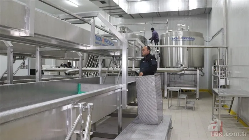 Et ve Süt Kurumu İstanbul'da KPSS şartsız alım yapıyor! Şartlar ve İŞKUR başvuru ekranı... 6