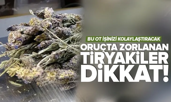 Oruçta zorlanan sigara tiryakileri dikkat! Sigarayı bıraktıran ot işinizi kolaylaştıracak