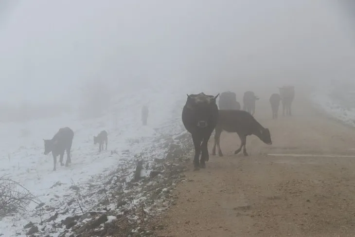 Nisan ayında şaşkına çeviren manzara! Tekirdağ’ın yüksek yerleri beyaz örtüye teslim oldu