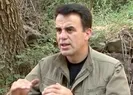 Selahattin Demirtaşın kardeşi hakkında PKK gerçeği