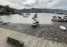 Zonguldak Limanında yağış sonrası korkutan görüntü