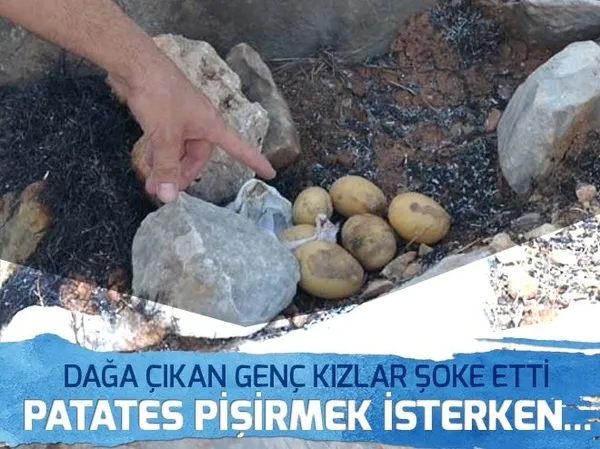 İstanbul'da E-5'te maganda terörü! Tüfek kabzasıyla dövdüler - 1