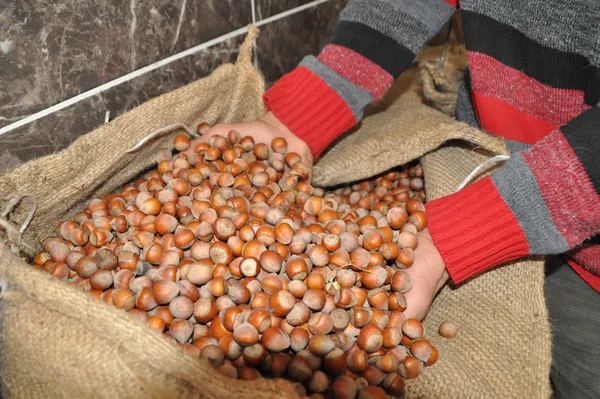 Son dakika: Bakan Pakdemirli açıkladı! O süre 30 Nisan’a kadar uzatıldı