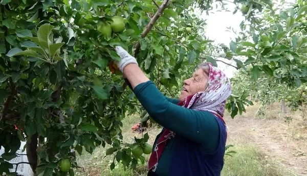 issizligi-bitiren-koy-il-ve-ilcelerden-goc-aliyor-1664962428474.jpg İl ve ilçelerden akın akın göç alıyor! Her şey 12 yıl önce başladı - 3