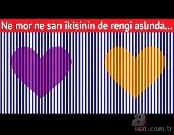 Gözlerinizin sizi yanıltmasına hazır mısınız? 1