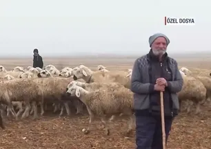 58 yaşındaki çobanın bir günü