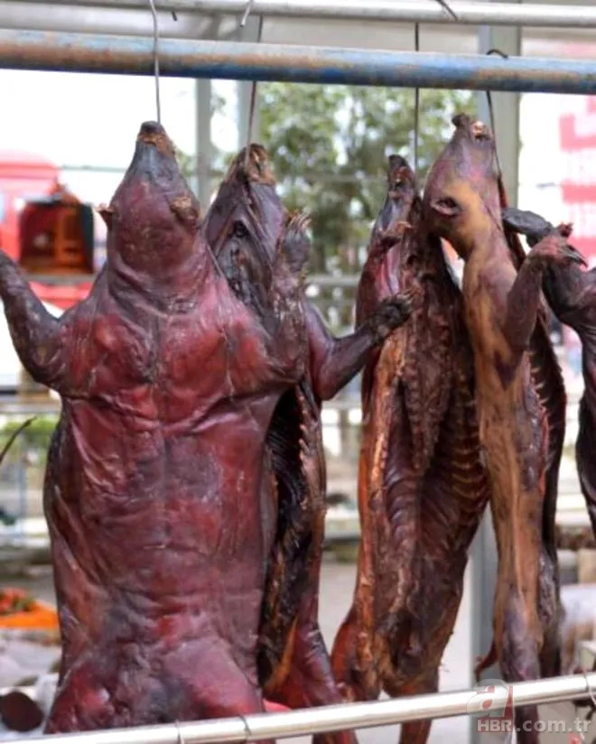 Ne bulsa yiyorlar! İşte koronavirüsün yayıldığı pazar... 5