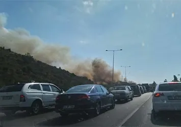 İzmir'de otoyol kenarında yangın!