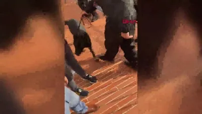 Trabzonlulara tepki çeken açıklama