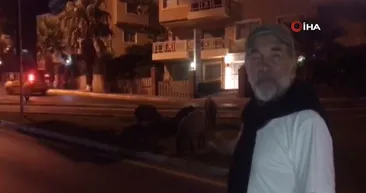 Kurtlar Vadisi’nin Ersoy Ulubey’i paylaşmıştı! Tatil cennetinde şaşırtan manzara