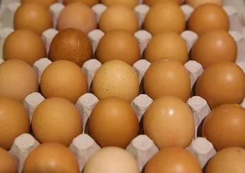 Belçika yumurta krizinde Hollanda'yı suçladı