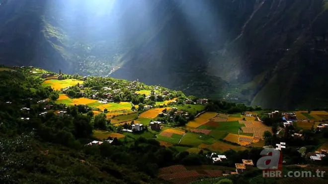 256 yıl yaşayan adamın sırrı çözüldü! 7